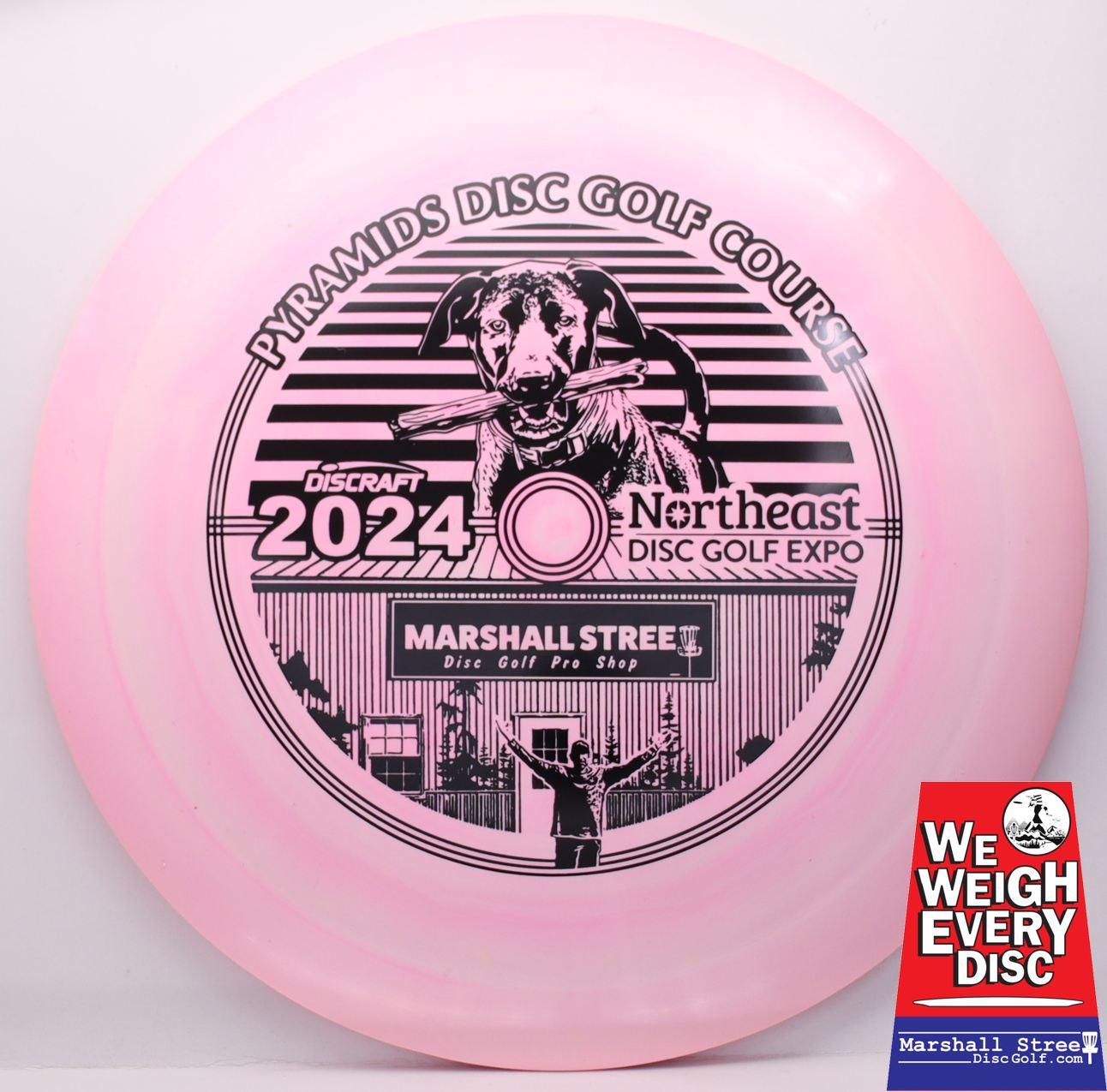 ESP Heat, NEDG Expo 2024 • Marshall Street Disc Golf